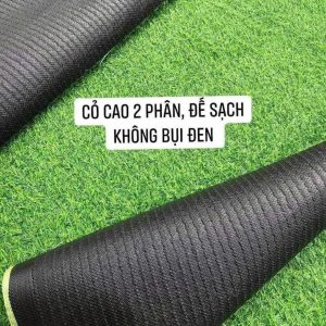 Thảm cỏ nhân tạo 2cm đế bạt