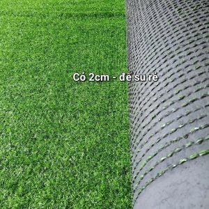 Thảm cỏ nhân tạo 2cm đế cao su
