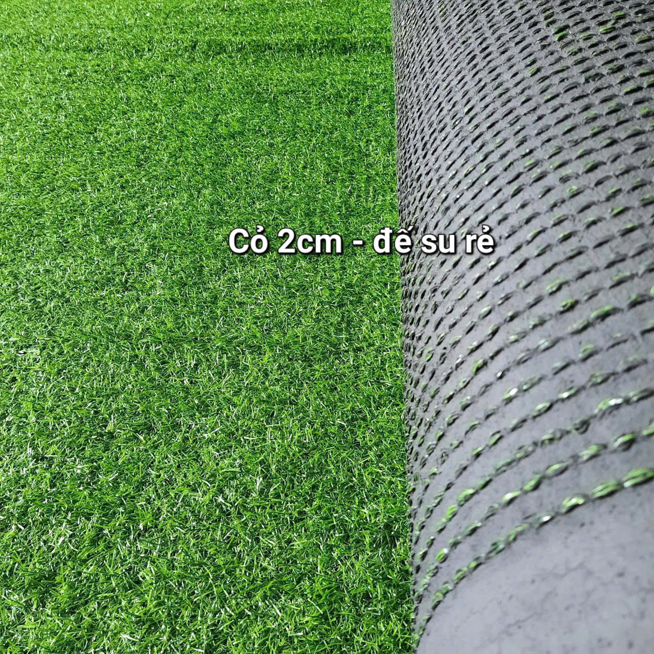 Thảm cỏ nhân tạo 2cm đế cao su
