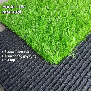 Thảm cỏ nhân tạo 3cm đế cao tốt 3 lớp